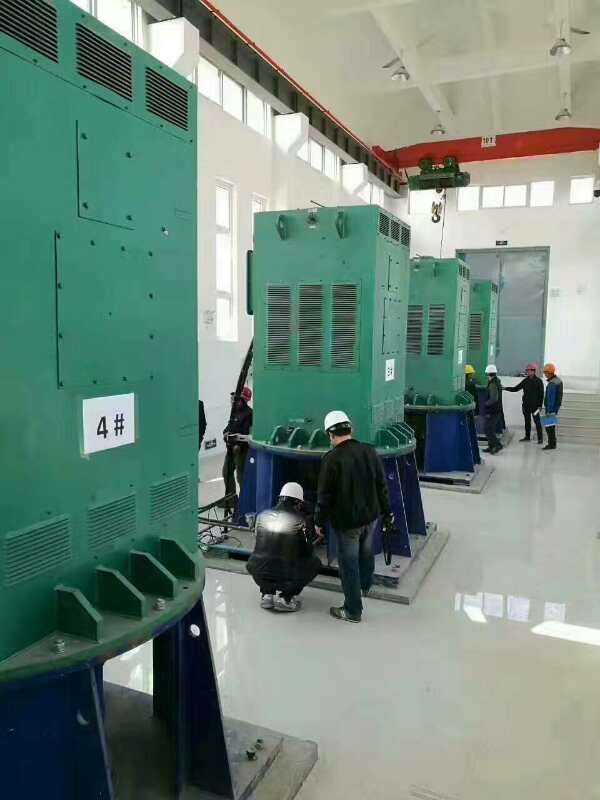 YE2-315M-10某污水处理厂使用我厂的立式高压电机安装现场