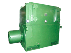 YE2-315M-10YRKS系列高压电动机