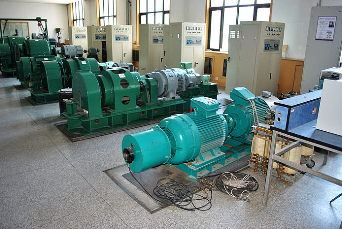 YE2-315M-10某热电厂使用我厂的YKK高压电机提供动力