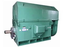 YE2-315M-10YKK系列高压电机