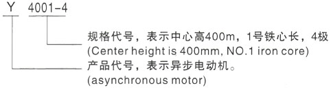 西安泰富西玛Y系列(H355-1000)高压YE2-315M-10三相异步电机型号说明